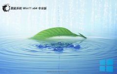 <font color='#FF0000'>黑鲨系统win11 64位 免激活特别青春版v2025.06</font>