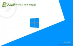 ײwin8.1ֱװǰ64λv2024.05