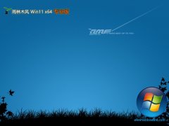 ľwin11ǿ64λv2025.05⼤