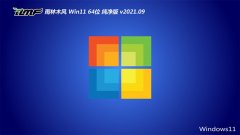 雨林木风Windows11 娱乐纯净版64位 2021.09